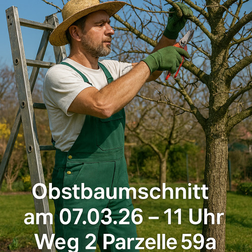 Baumschnitt mit unserem Gartenfachberater